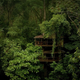 Illustration for article titled Ask the Mastermind of This Amazing Rain Forest Treehouse Community Anything